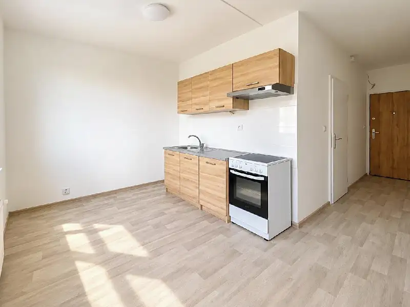 Pronájem bytu 1+1, 35 m², Chomutov